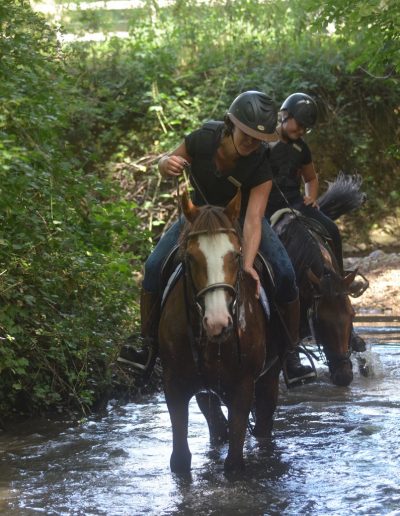 Deux cavaliers avec cheval dans un cours d'eau